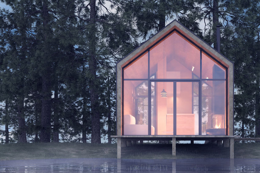 Tiny Modern Home in the forest