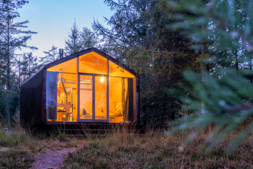 Tiny Modern Cottage in the forest